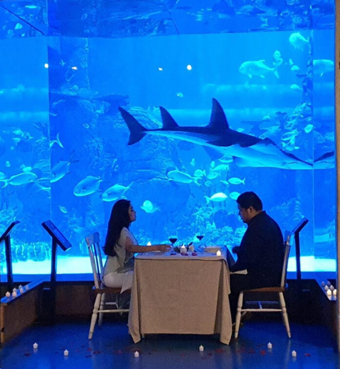 Rayakan Imlek dan Valentine Bertema “Sea of Love” di Jakarta Aquarium & Safar